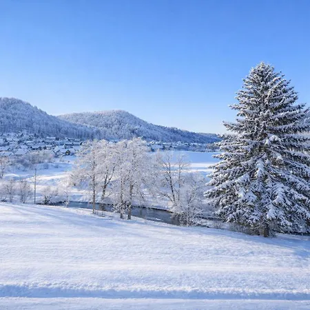 Bps #14 Luxury Penthouse Lägenhet Horb am Neckar