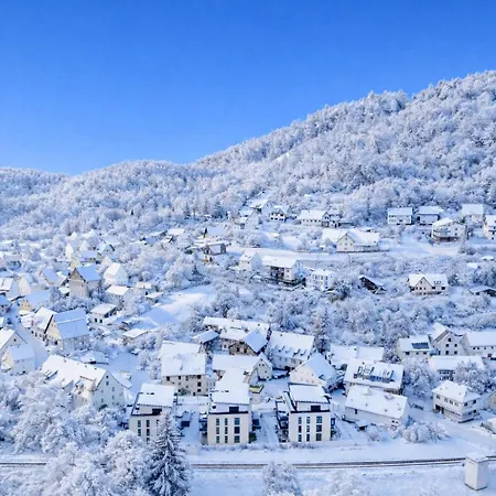 Bps #14 Luxury Penthouse Lägenhet Horb am Neckar